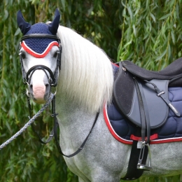 PONY Schabracke dunkelblau, weie Zierkordel, rote Borde