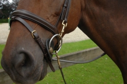 Trainingstrense