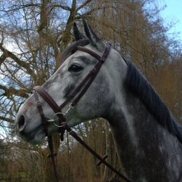 Trainingstrense