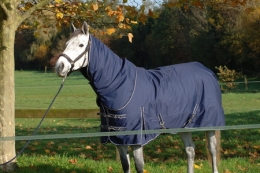 Outdoor Decke 400g