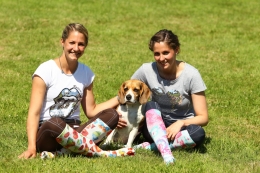 Soxtrot Zebra Hearts Fossil