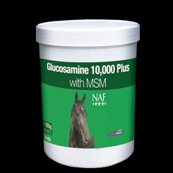 Glucosamine 10,000 plus with MSM
