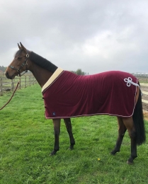Fleecedecke bordeaux oder grn silberne Kordel mit hellem Teddykragen